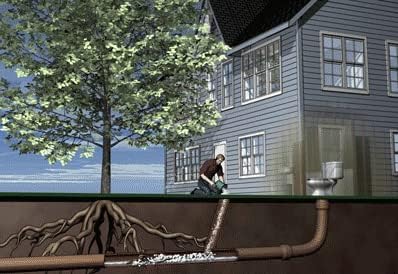 ROOTX - 4LB. JAR WITH FUNNEL/APPLICATOR - SHIPPED BY AMAZON