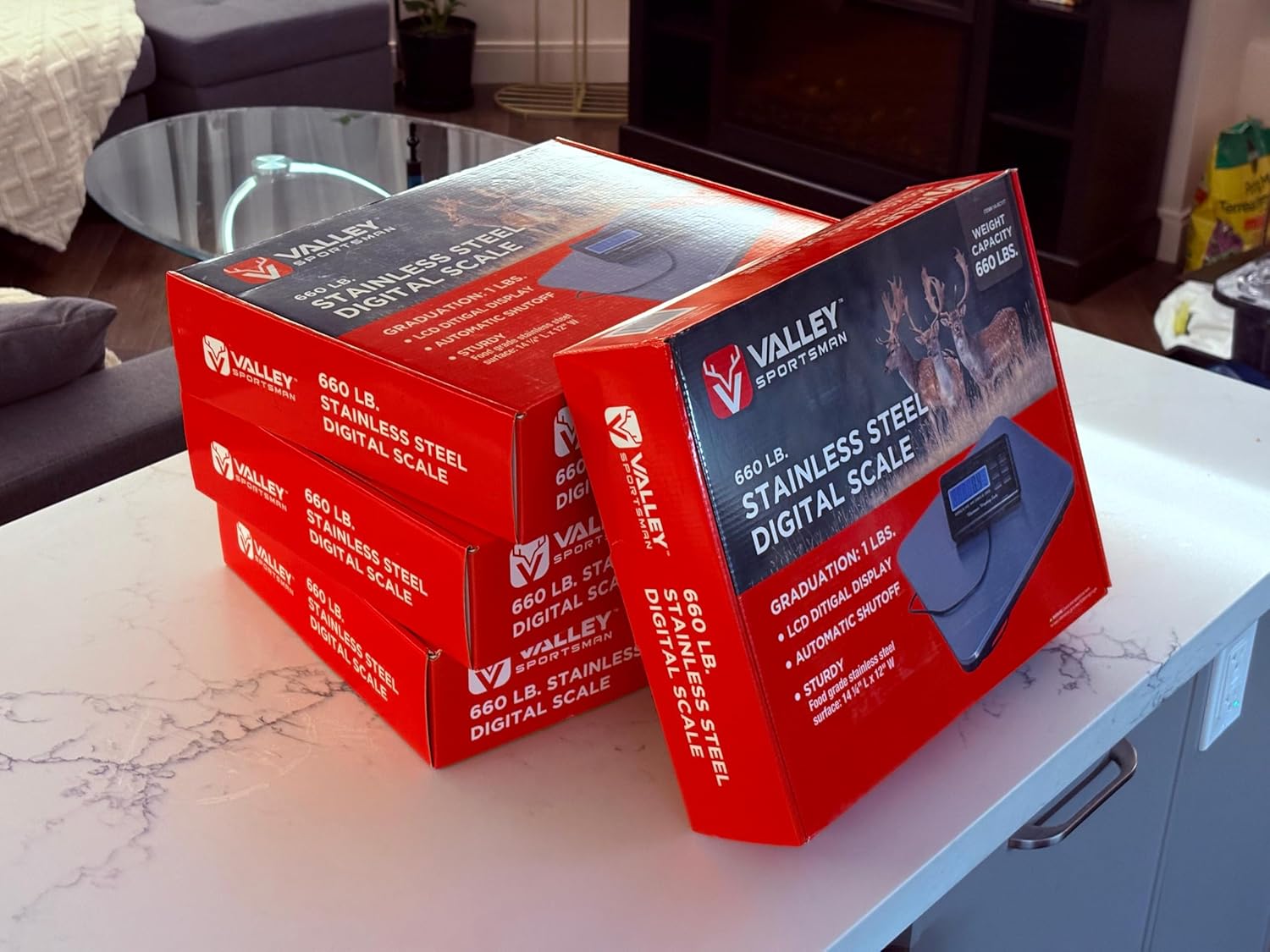 Motorsport Set of 4-660 lb (ea.) Valley Sportsman Stainless Digital Scales w/Remote LCD (0.2 lb Readout) for Kart & Small Race Car Corner-Weighting, 14.25×12 in Platforms